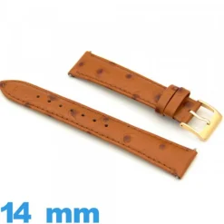 Bracelet Vrai cuir 14mm Rembourré pour montre Cuir autruche