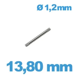 Goupille Moletée 13,80 mm diam 1,20 (1,25) - Style Rolex