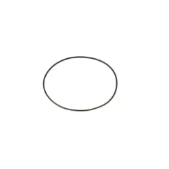 Joint torique montre  - 17.5 X 0.4 mm