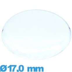 Verre 17,0 mm gousset de montre en Plastique Circulaire