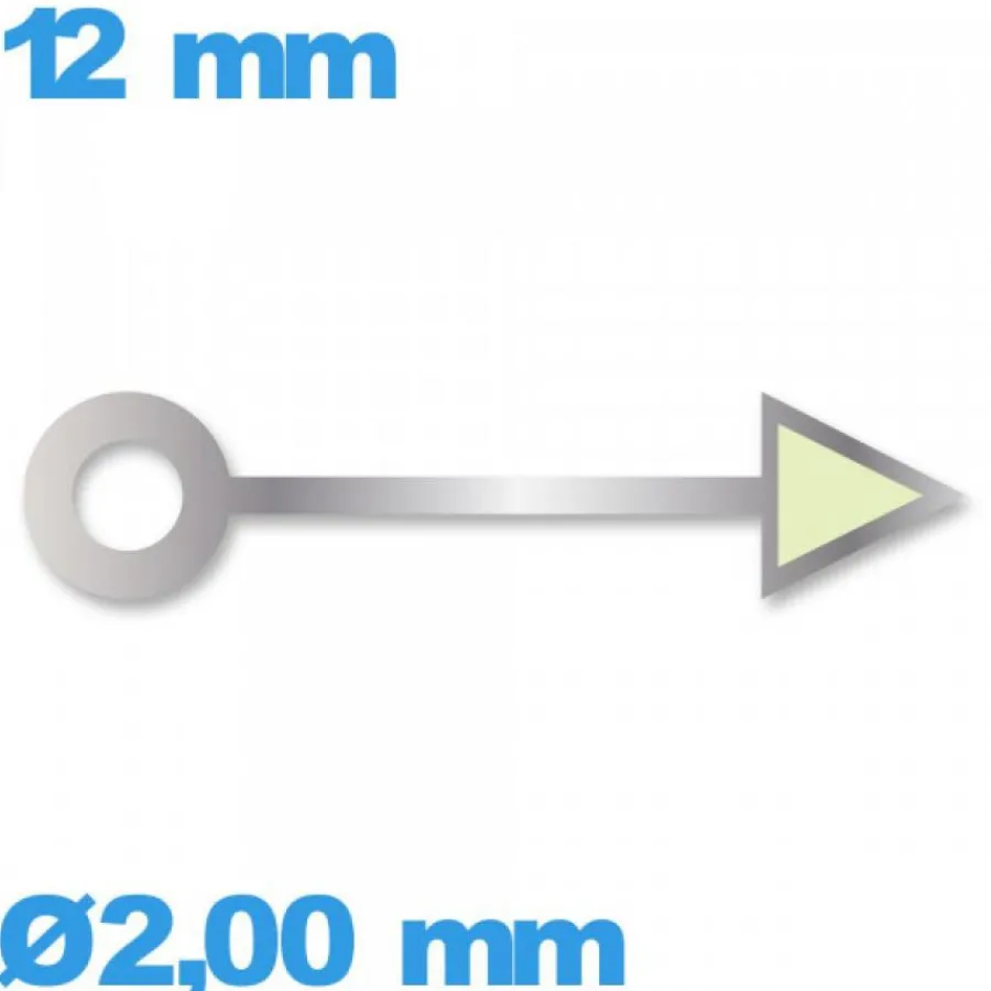 Aiguille Visible La Nuit|Aiguille Des Heures-Aiguille  diamètre : 2,00mm longueur : 12 mm cadran principal des heures argenté mouvement montre