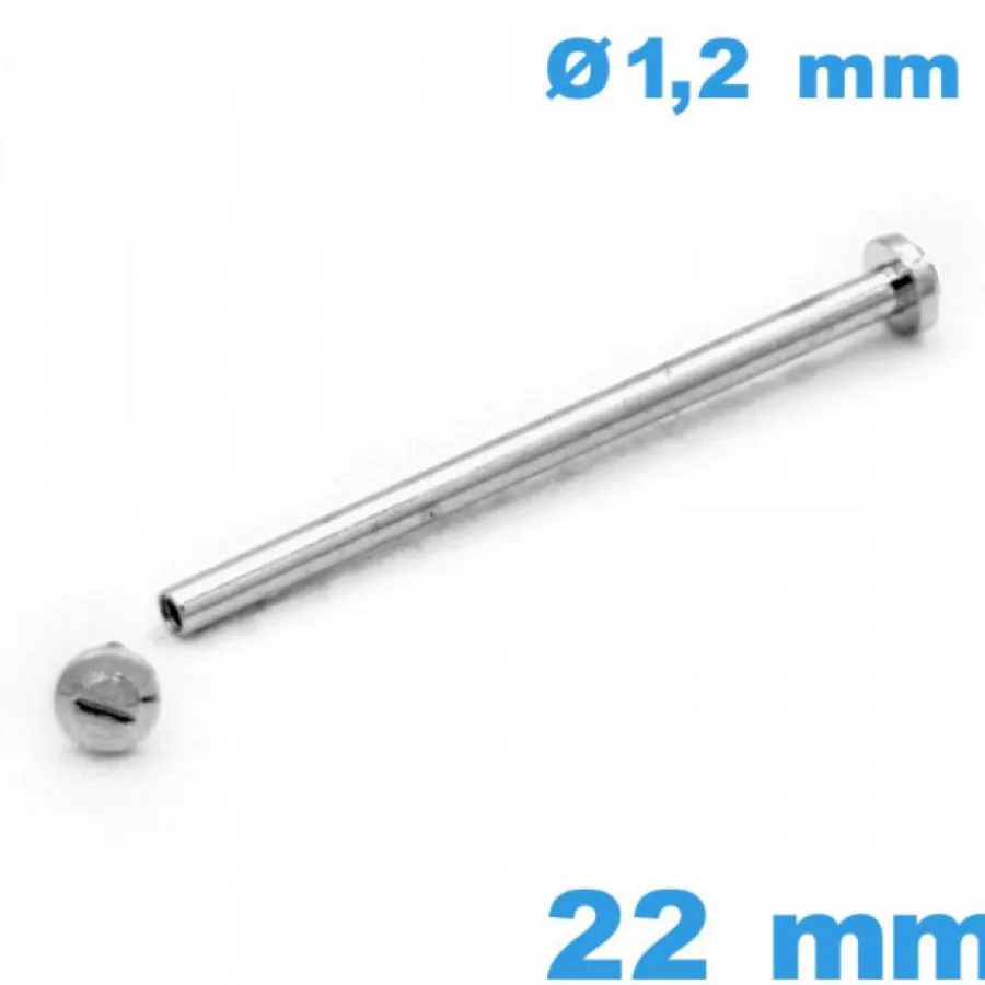 Barre À Rivet-Barre à Rivet à Vis pour Bracelet de Montre Argenté 22 mm