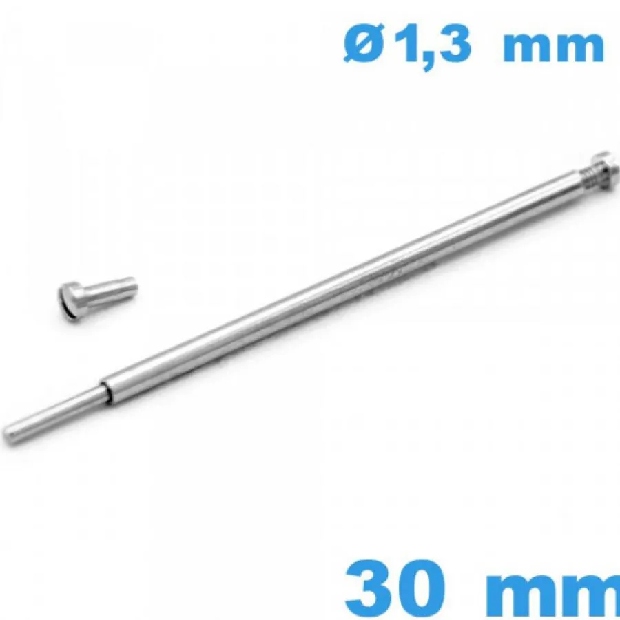 Barre À Rivet-Barre de Bracelet Montre 30 mm argenté à Rivet Vis et Pression