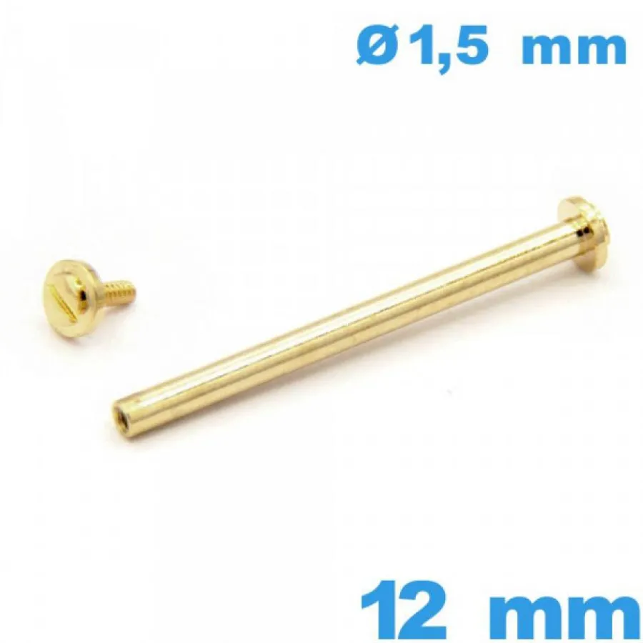 Barre À Rivet-Barre Doré 12mm fermoir montre avec capuchon cylindrique  de bracelet