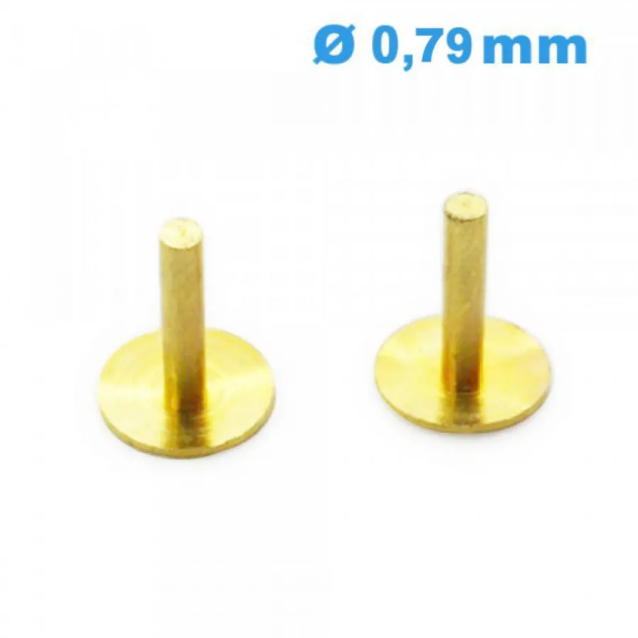 Pied De Cadran-Lot 2 Pieds de Cadran pour Mouvement de Montre 0.79 mm