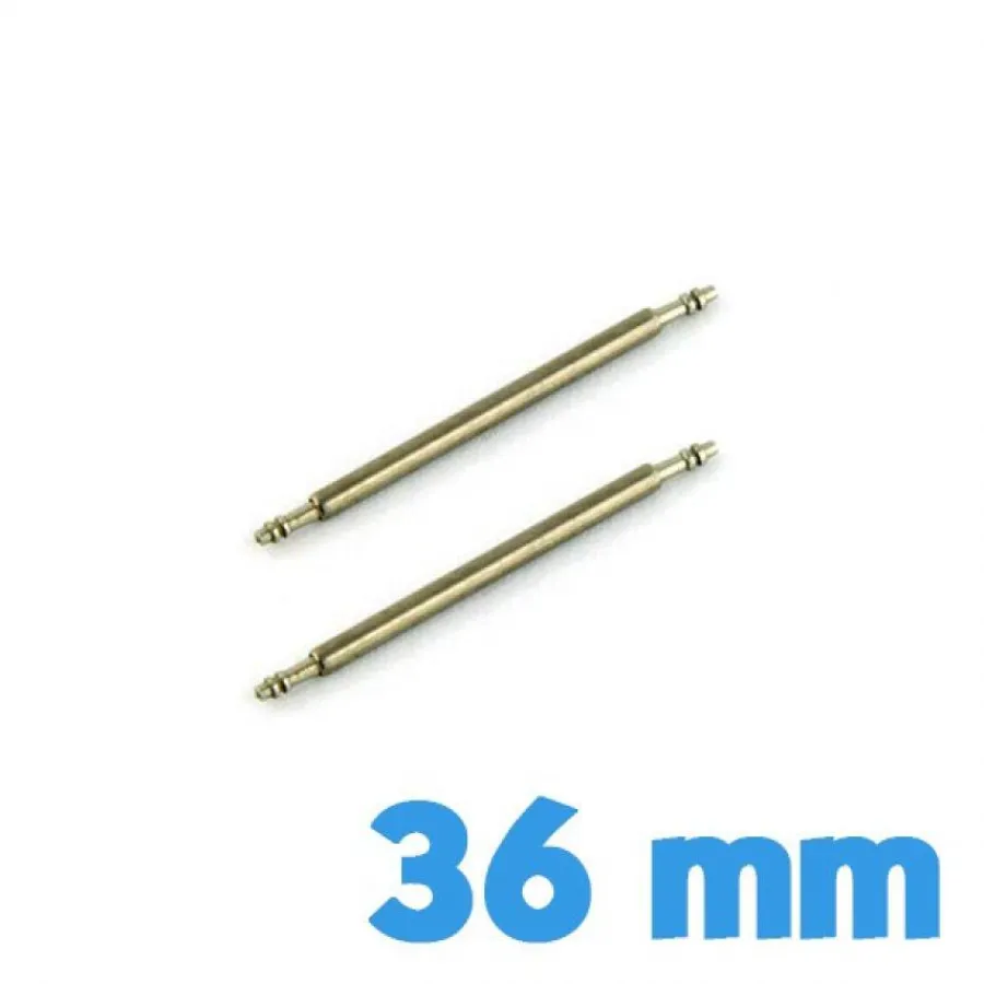 Pompe-Lot de 2 barres ressorts montre 36 mm