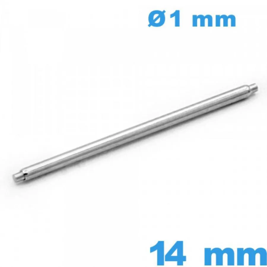 Pompe-Pompe de Bracelet Montre 14mm Acier 316L diamètre 1mm Suisse